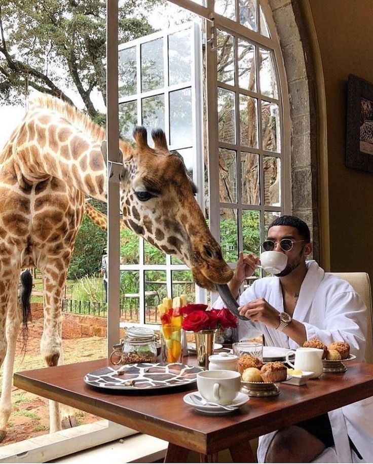 Giraffe Manor Experience