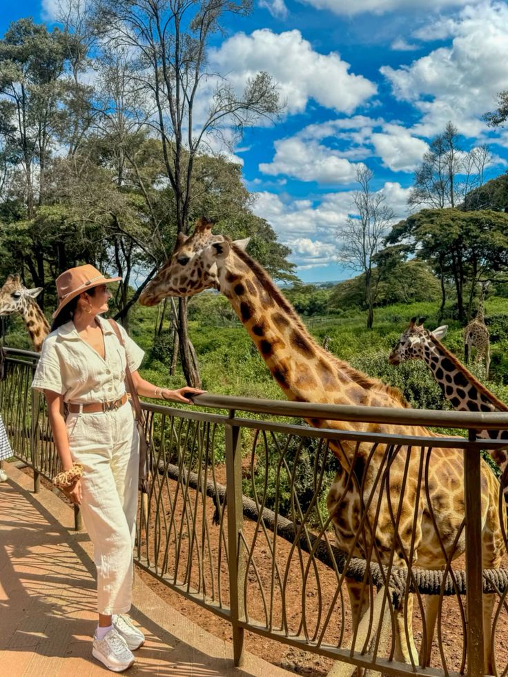 Giraffe Conservation: Protecting Africa's Gentle Giants