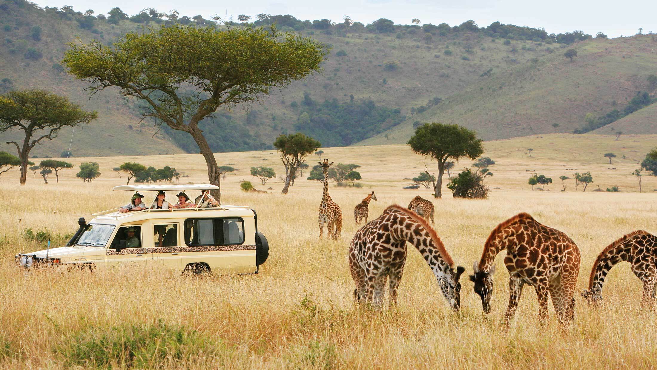 Masai Mara Safari: The Ultimate Wildlife Experience