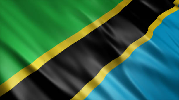 Tanzania flag